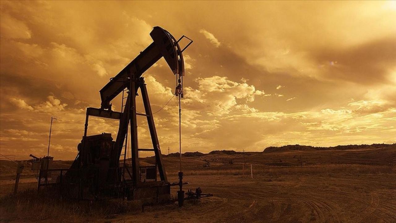 Rusya Enerji Bakanı Nikolay Novak'ın akaryakıt piyasası toplantısı.