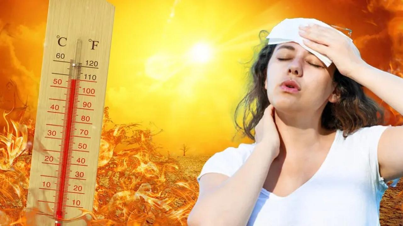 İspanya'da aşırı sıcaklar sebebiyle yaşanan can kayıpları