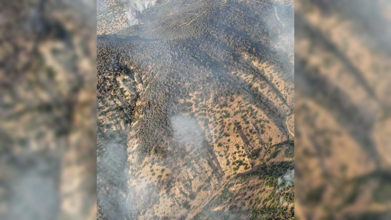 Pütürge'de orman yangınının kontrol altına alınmasının ardından çekilmiş bir fotoğraf.