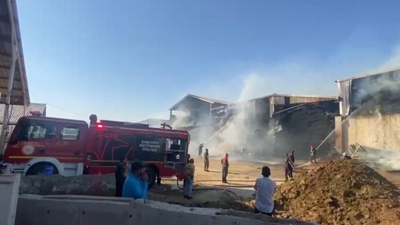 Şanlıurfa’da hayvan çiftliğinde yangın Şanlıurfa’da hayvan çiftliğinde yangın