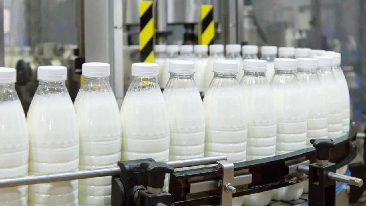 Devlet desteğiyle yıllık 430 ton süt üretim kapasiteli tesis kurdu