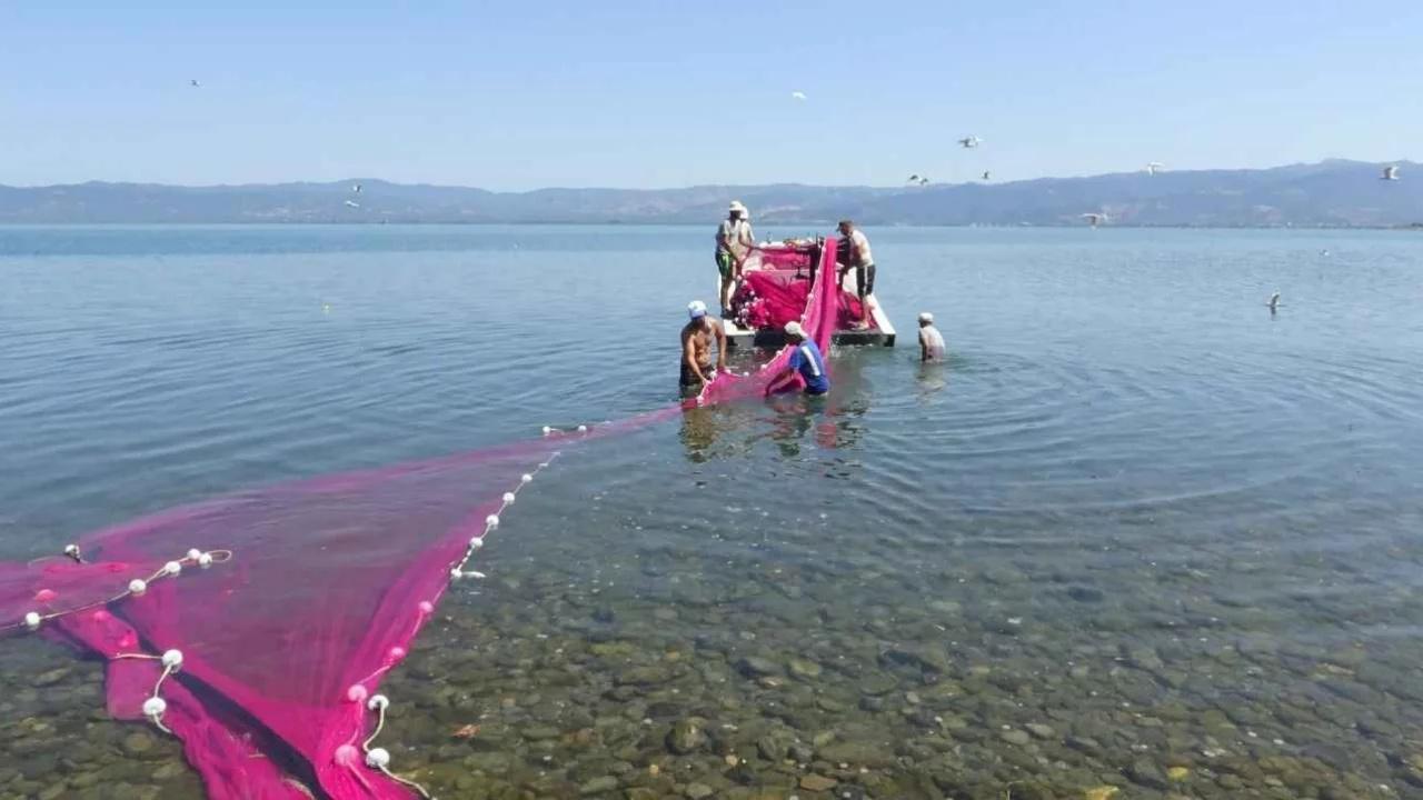 İznik Gölü'nde gümüş balığı mesaisi başladı: Hedef Amerika'ya 400 ton ihracat