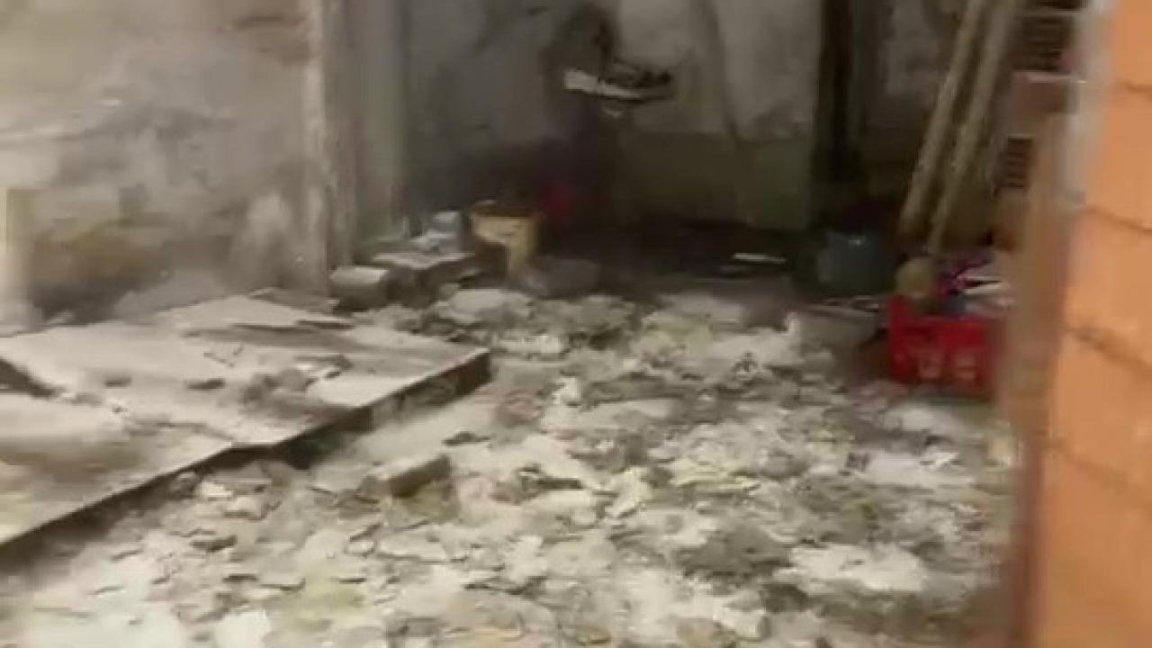 Şikayet üzerine şikayet: Sokağı istila ettiler! Hayvanların çığlıkları duyuluyor iddiası Şikayet üzerine şikayet: Sokağı istila ettiler! Hayvanların çığlıkları duyuluyor iddiası