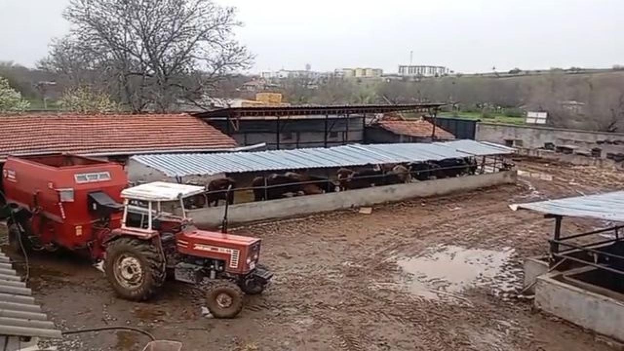Hem koyunları çaldı hem de aramasına yardım etti! Akıllara durgunluk veren olay