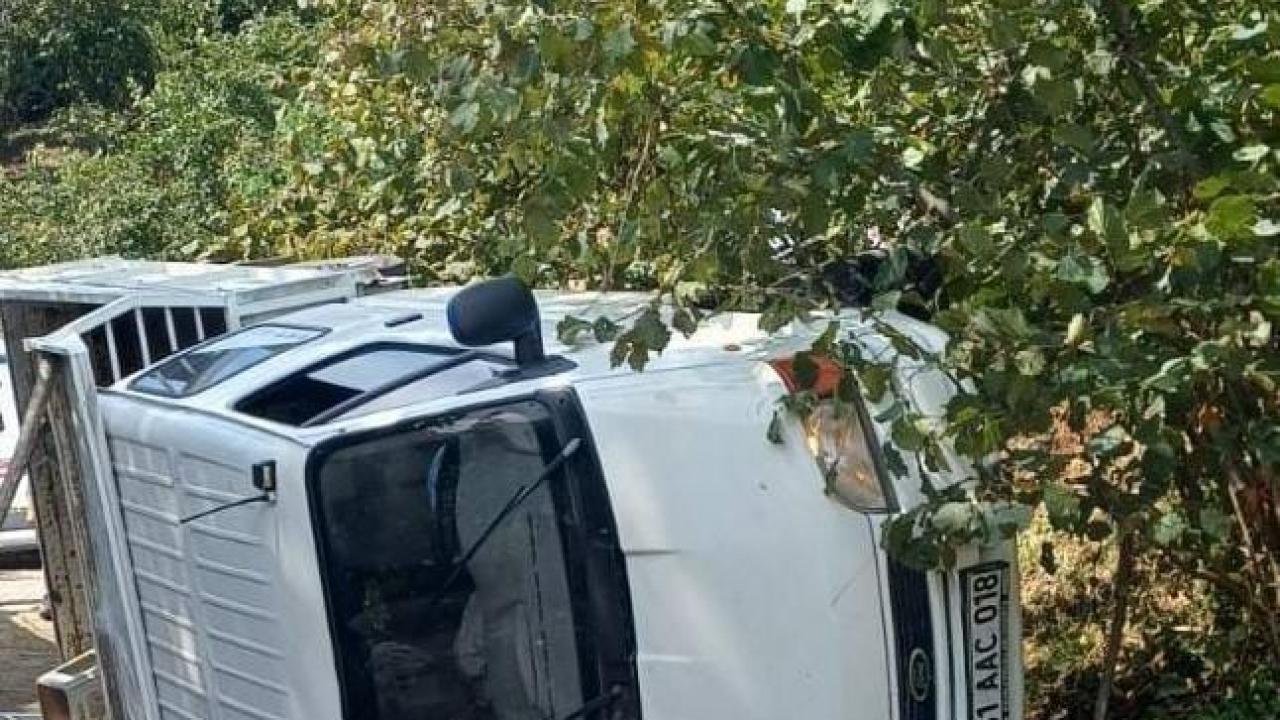 Giresun'da fındık iÅçilerini taÅıyan kamyonetin devrildi! Ãok sayıda yaralı var