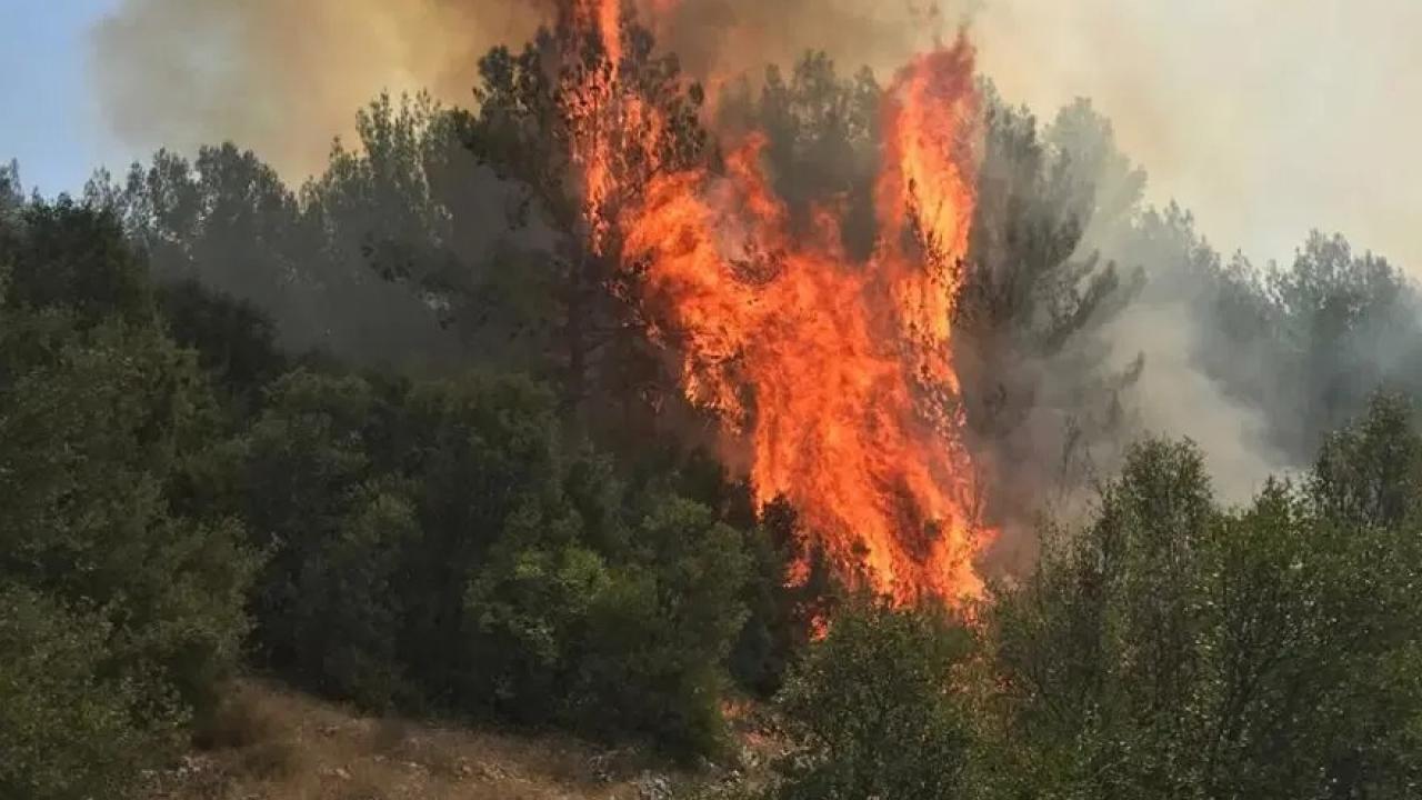MuÄla'da çıkan orman yangınına müdahale ediliyor