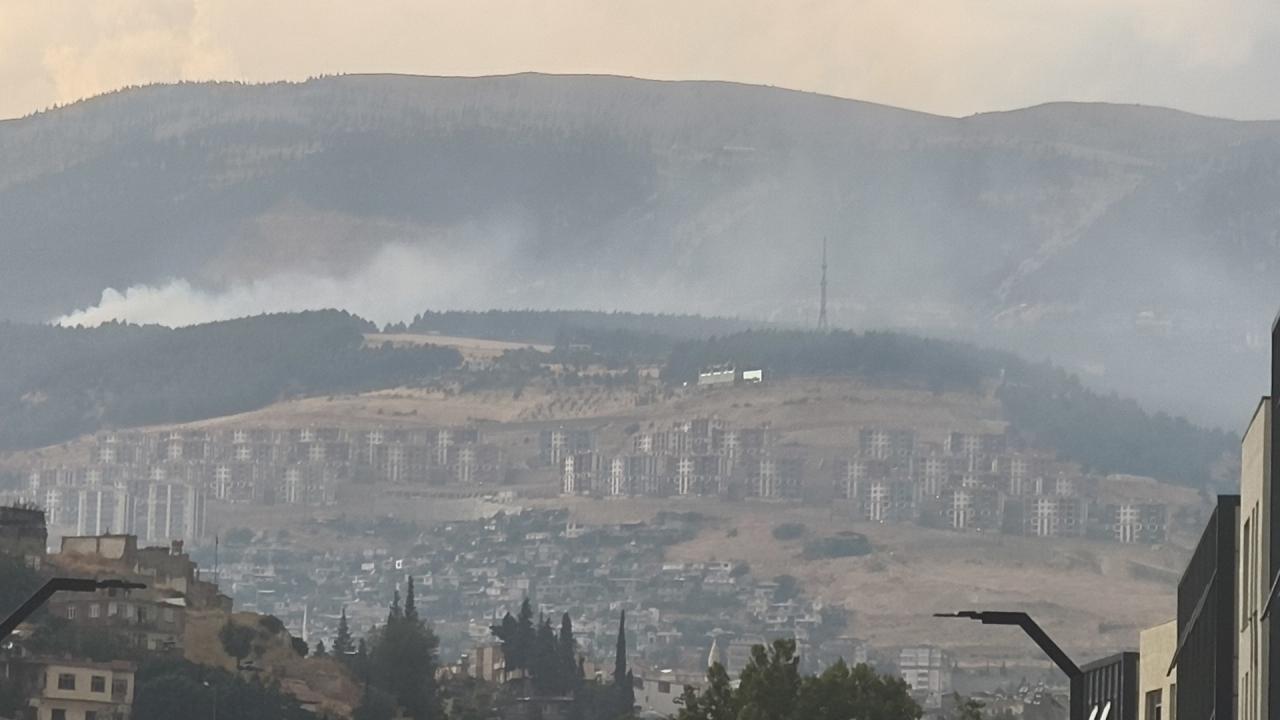 KahramanmaraÅ'ta orman yangını