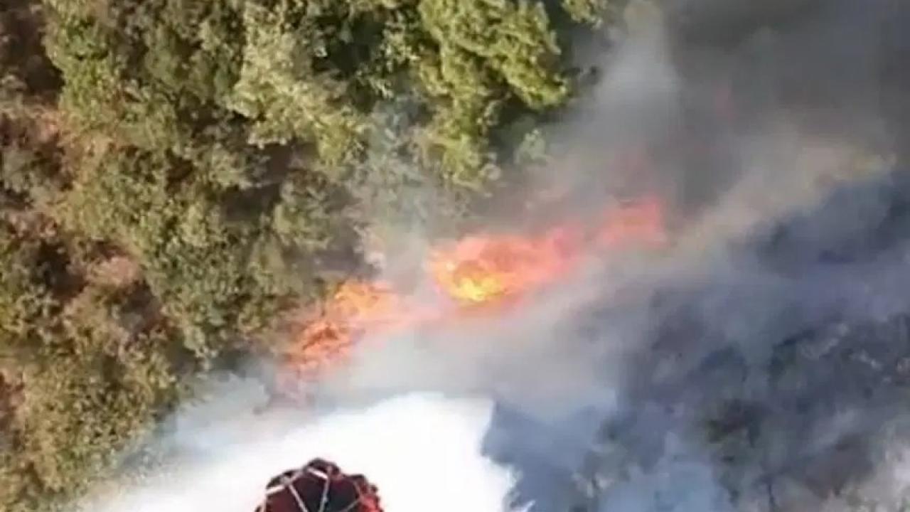 Bursa'da 3 ayrı bölgede yangın çıktı: UludaÄ'ın etekleri yanıyor!