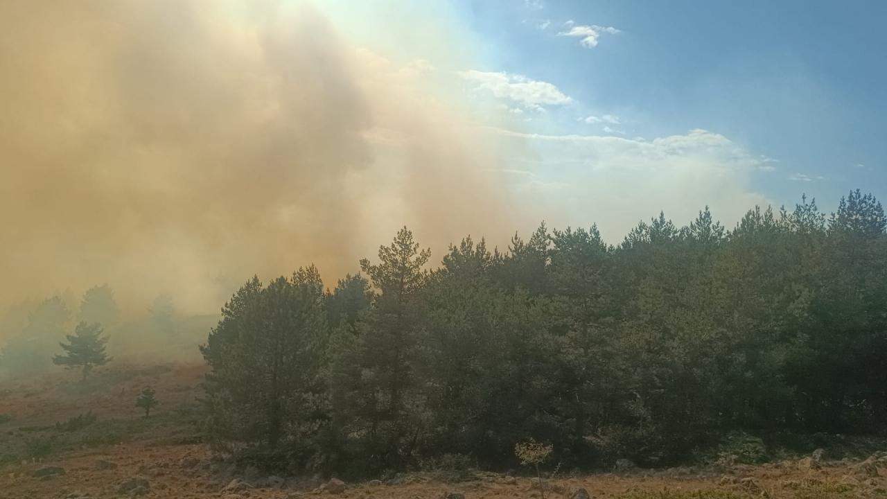 Anız yangınında alevler ormana sıçradı
