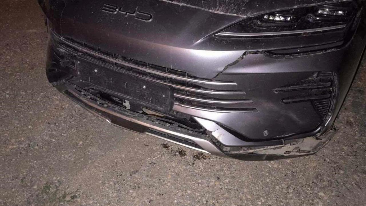 Bilecik'te otomobilin çarptıÄı domuzlar telef oldu