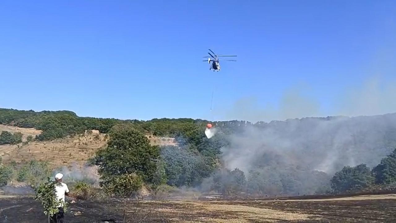 Bursa'da korkutan orman yangını