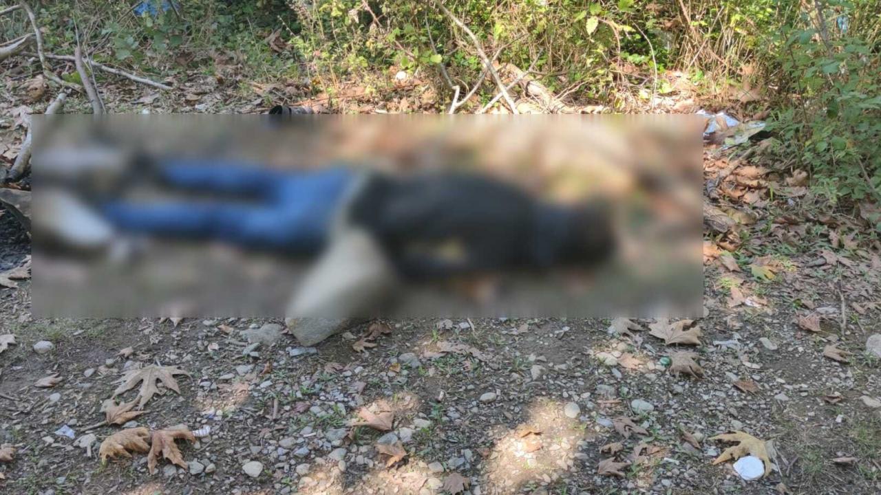 Kastamonu'da dere kenarında erkek cesedi bulundu: 1 gözaltı