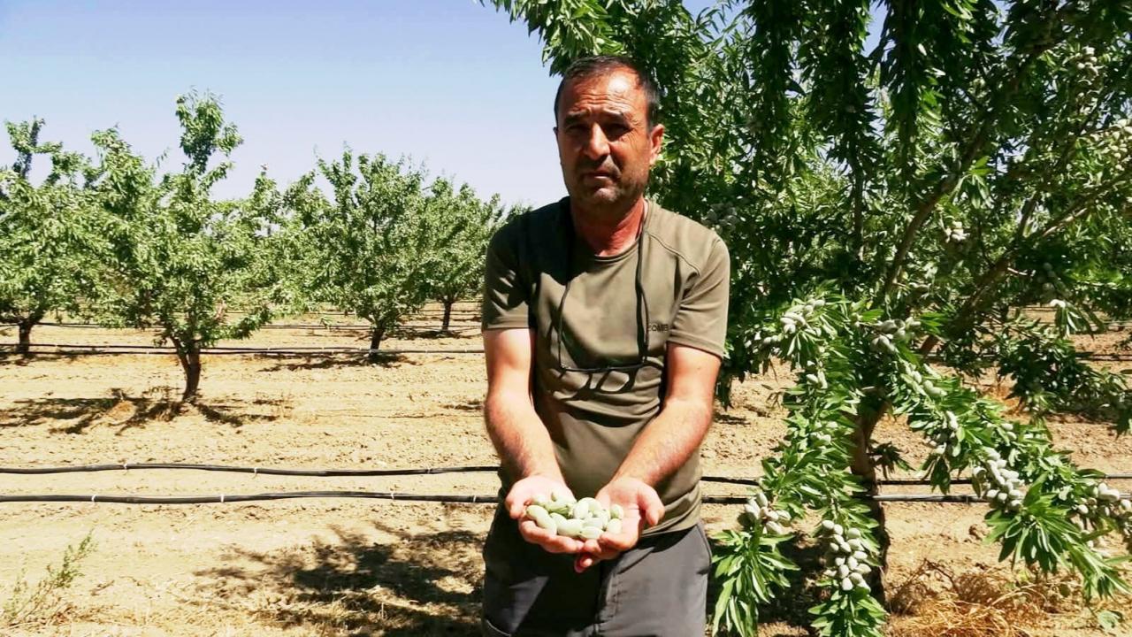 Kayseri'de 16 yıl önce hobi olarak baÅladı, o iÅ alıp baÅını yürüdü