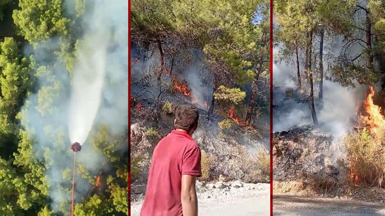 Manavgat'ta orman yangını: 75 personel bölgede!