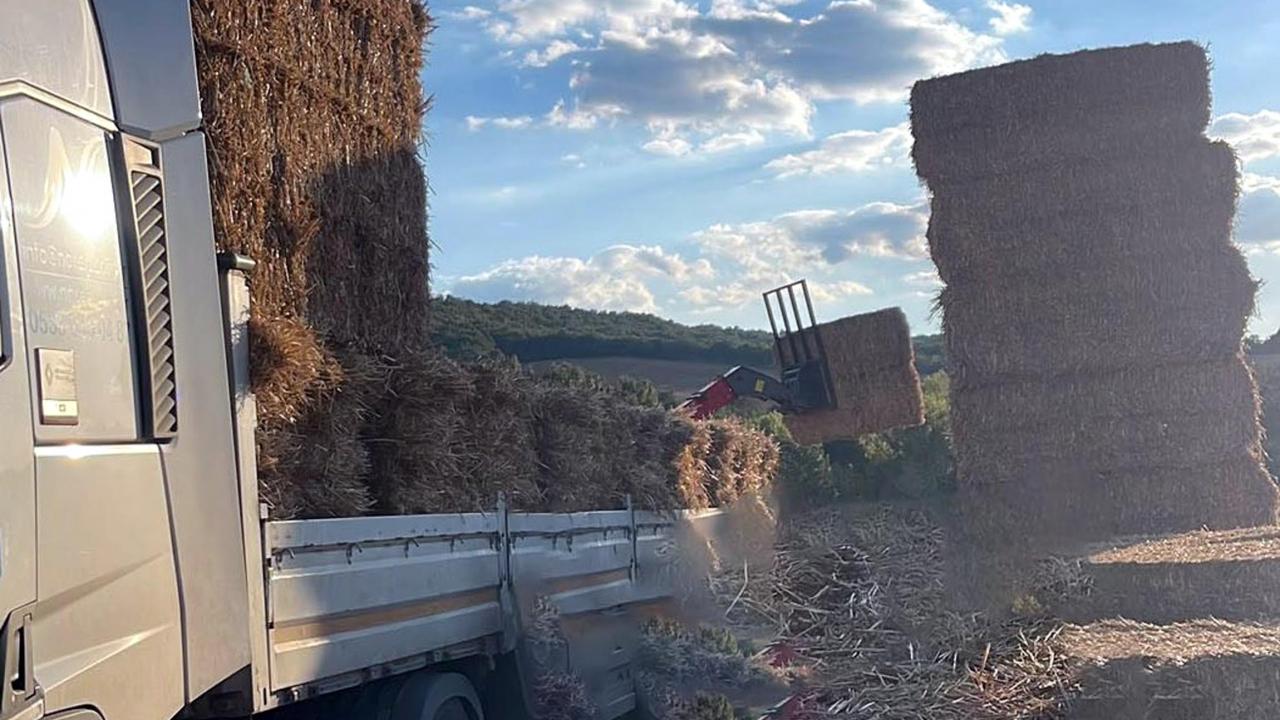 Tekirdağ'da feci kaza! 500 kiloluk saman balyaları can aldı
