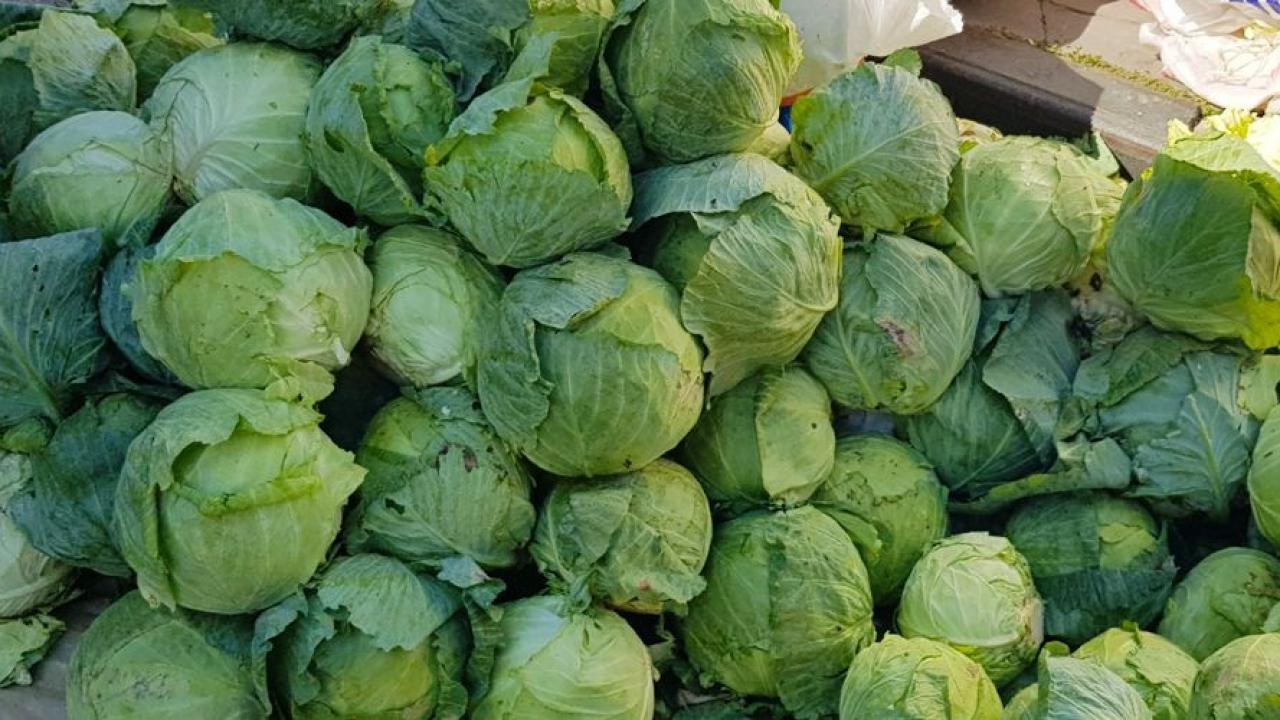 Alucra kelemi tezgahlardaki yerini aldı! Coğrafi işaret için gün sayıyor