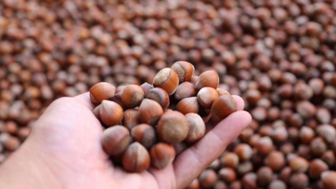 kuru yemiş