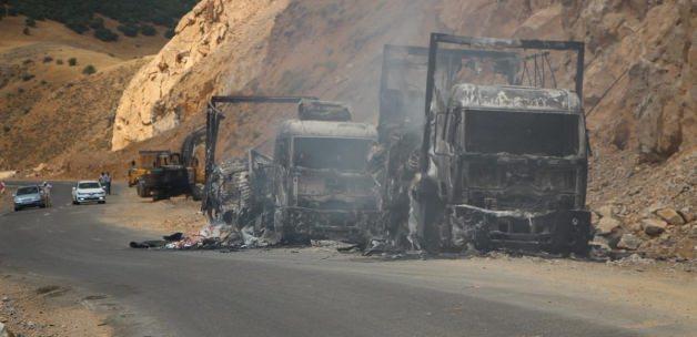 Bingöl'de yol kesen teröristler araç yaktı