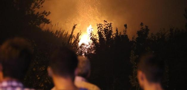 Bursa'daki orman yangını
