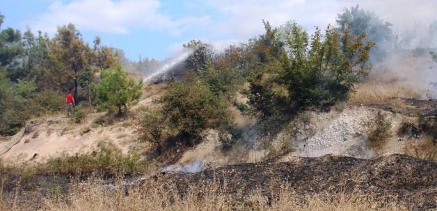 Taşova'da örtü yangını