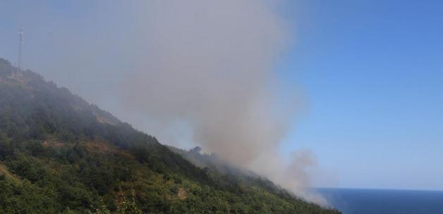 Kastamonu'nda orman yangını