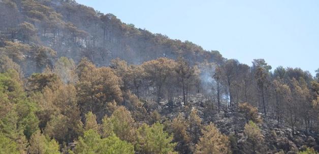 Mersin'deki orman yangını