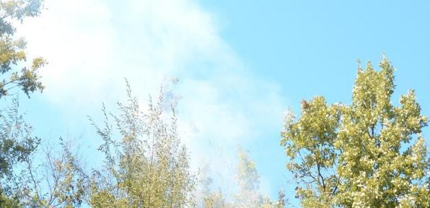 Zonguldak'taki orman yangınları