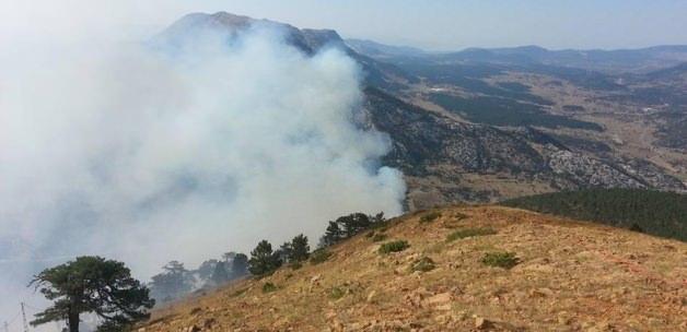 Konya'da çıkan orman yangını söndürüldü
