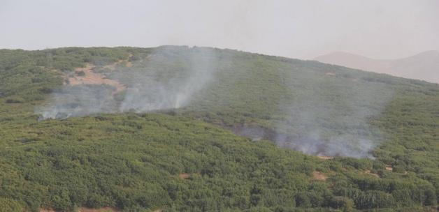 Bitlis'te terör örgütü operasyonu