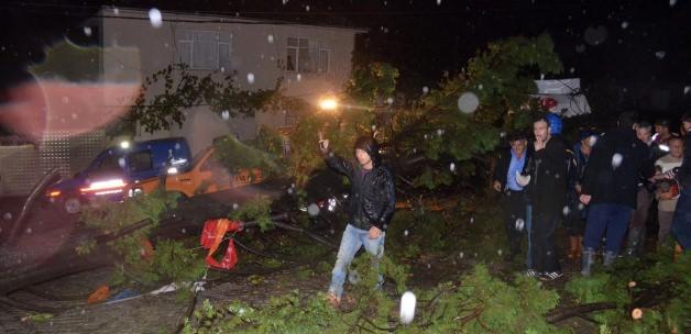 Yalova'da, MHP seçim minibüsünün üzerine ağaç devrildi