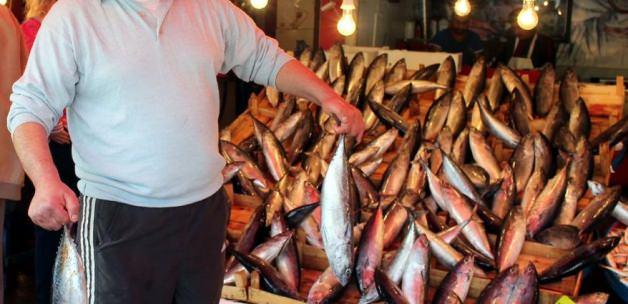 Bandırma'da palamut balığı fiyatları düştü