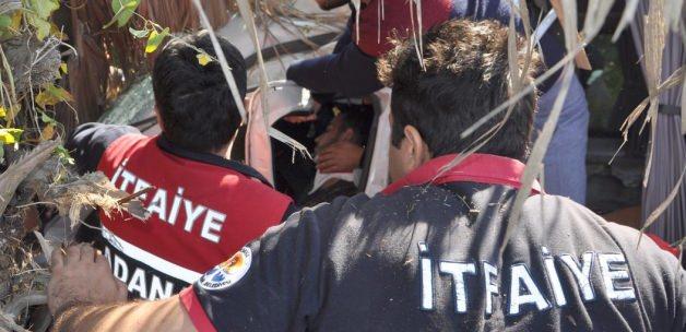 Adana'da hafif ticari araç ağaca çarptı: 3 yaralı