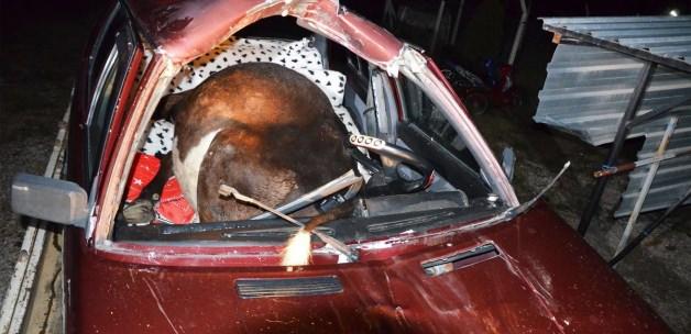 Kütahya'da otomobil ineğe çarptı: 2 yaralı