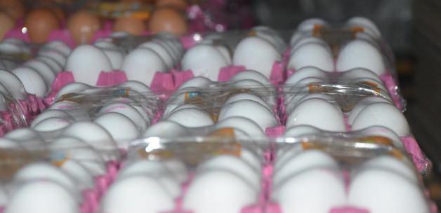 Yumurta sektörü, "tazelik ayarı"na hazır değil