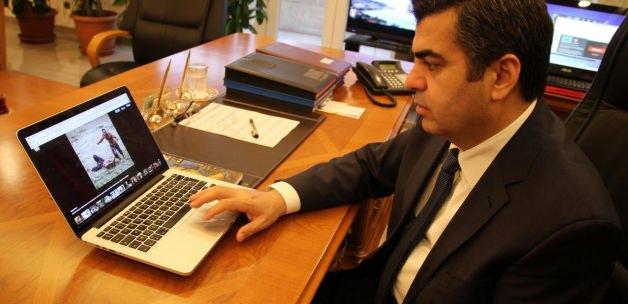 AA'nın "Yılın Fotoğrafları" oylaması
