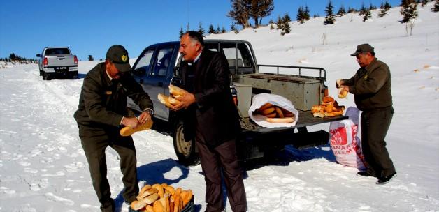 Toros Dağlarına yaban hayvanları için yem bırakıldı