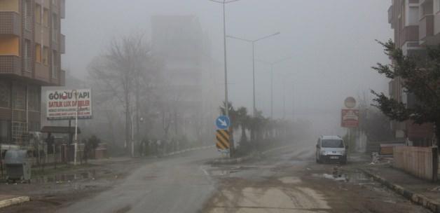 Türkeli’de yoğun sis