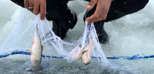 Donan gölde balık avı