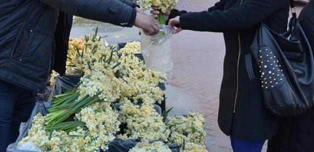 Sinop'ta nergis çiçekleri satışa sunuldu