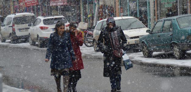 Eleşkirt'te kar yağışı