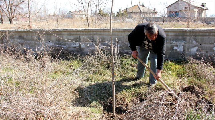 Seydişehir'de bin 100 fidan toprakla buluştu