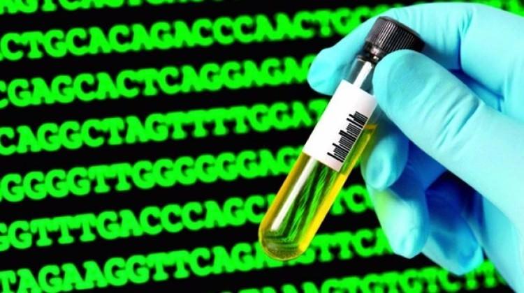 Biyolojik süper bilgisayar test edildi