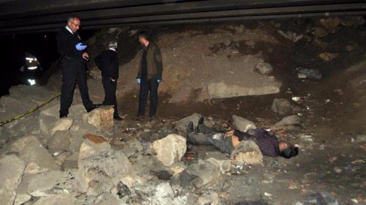 Cezaevinden çıktı, köprü altında öldü