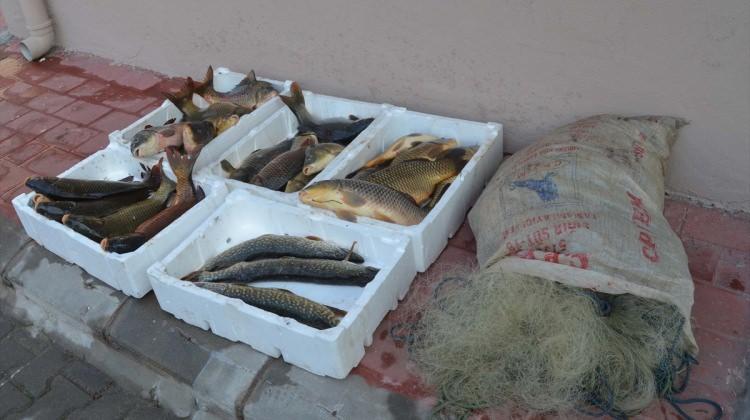 Çanakkale'de barajda kaçak avlanan balıklara el konuldu