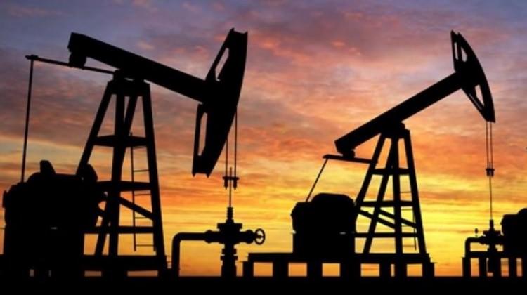 'Petrol 46 doları görebilir'