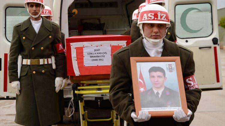 Nusaybin'deki terör operasyonu