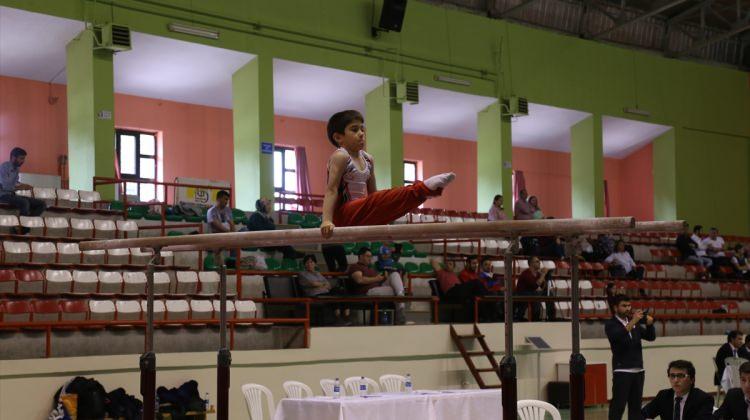 Türkiye Artistik Cimnastik Analig Finali
