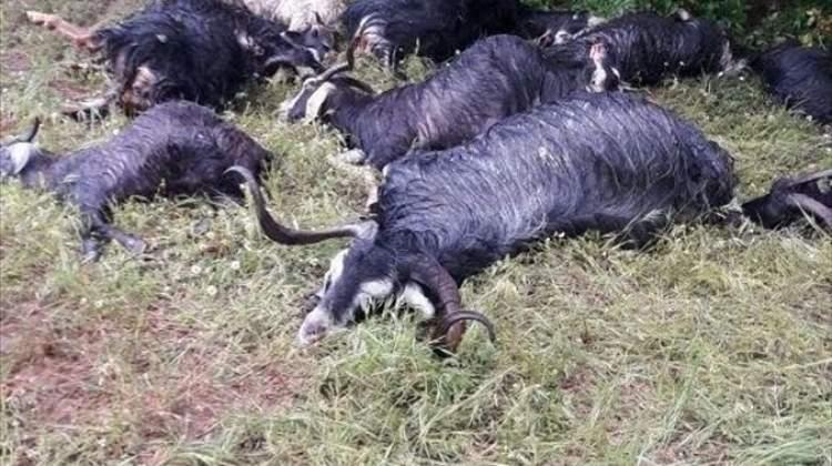 Bingöl'de yıldırımın isabet ettiği çoban yaralandı