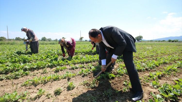Başkan Özaltun, tarım işçilerini ziyaret etti