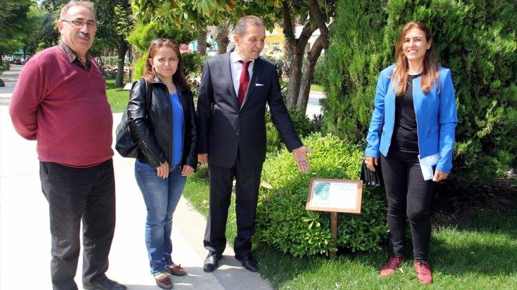 Sinop'ta Aşıklar Parkı'ndaki ağaç türleri tespit edildi
